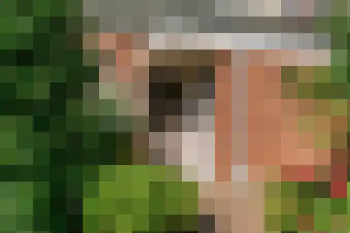 Nansenstraat 46 Zetten thumbnail 28