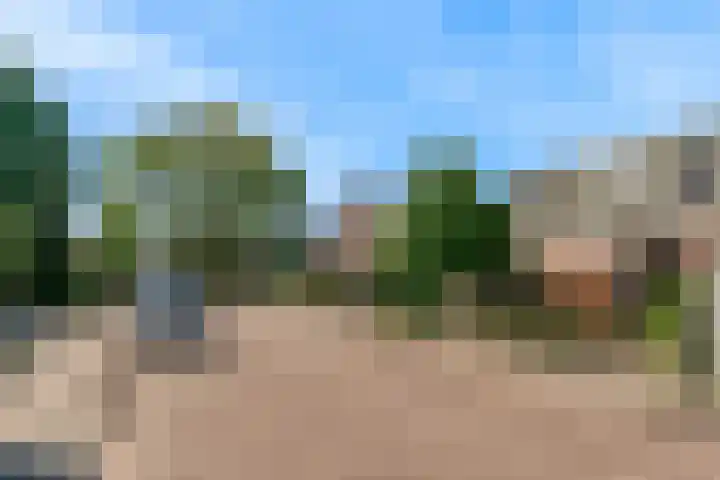 Nansenstraat 46 Zetten thumbnail 30