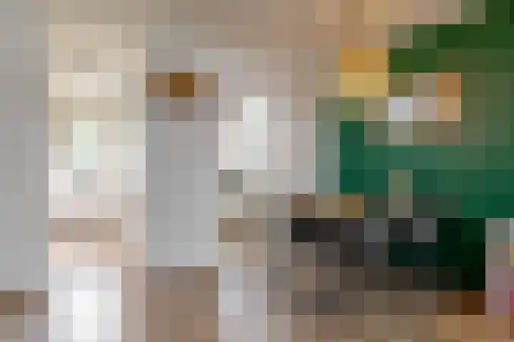 Nansenstraat 46 Zetten thumbnail 5