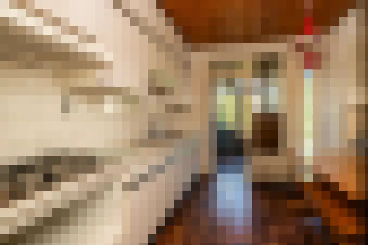 Nansenstraat 84 Gouda thumbnail 19