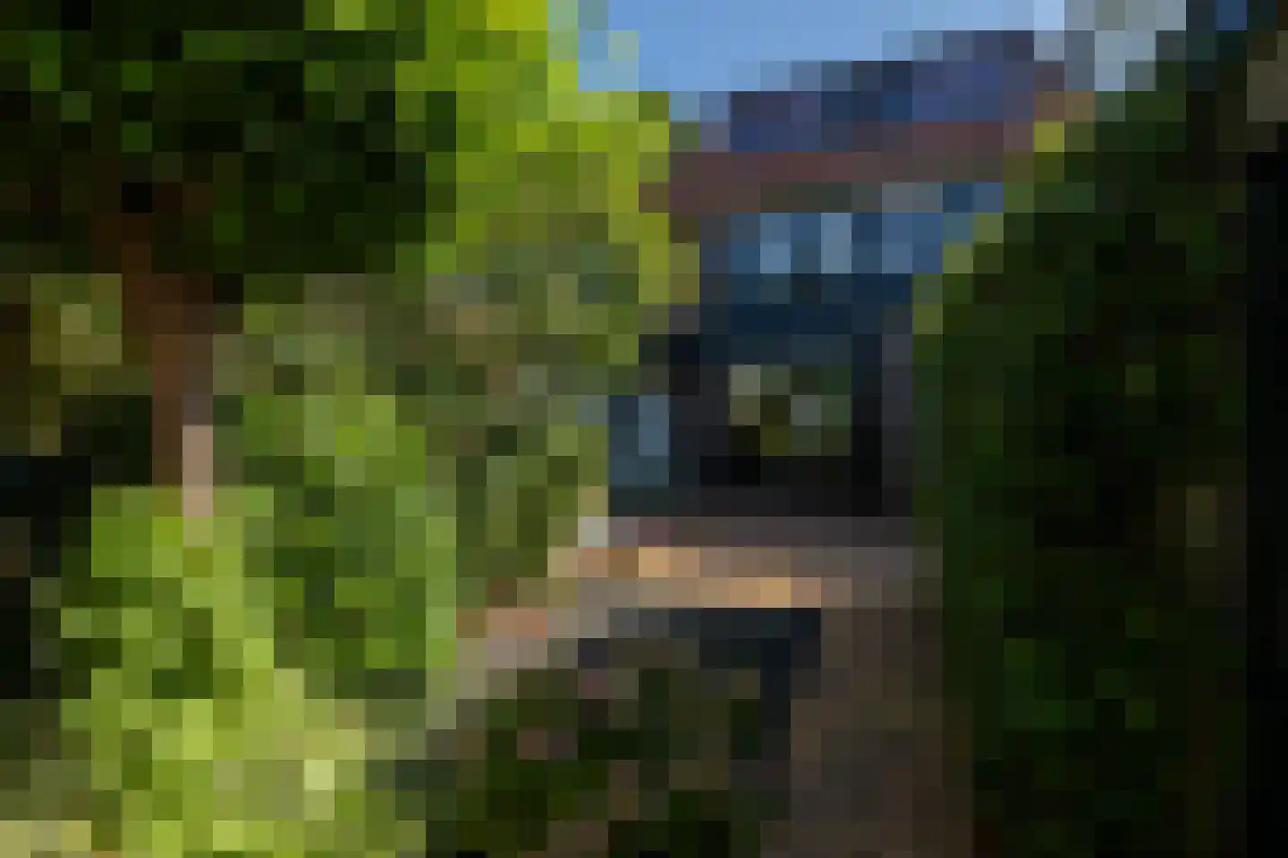 Nansenstraat 84 Gouda thumbnail 57