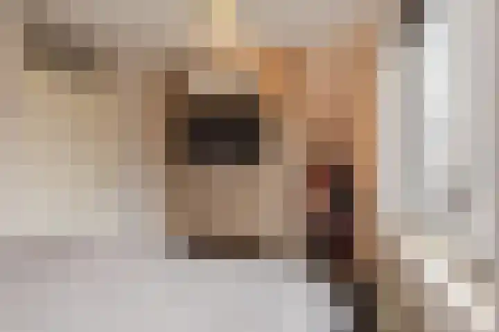 Naoberdreef 23 Assen thumbnail 19