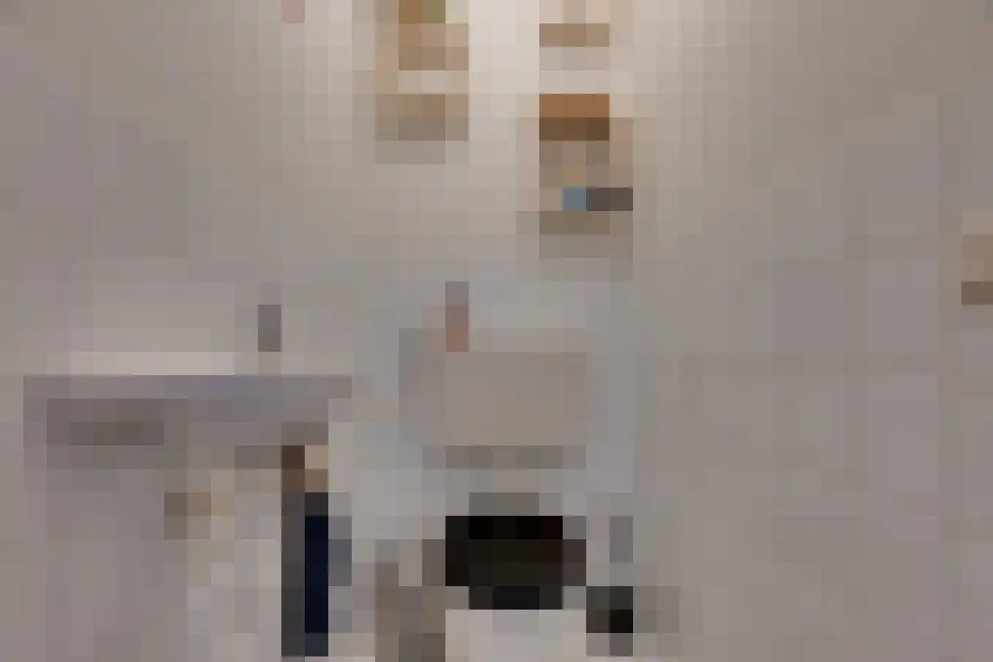 Naoberdreef 5 Assen thumbnail 11