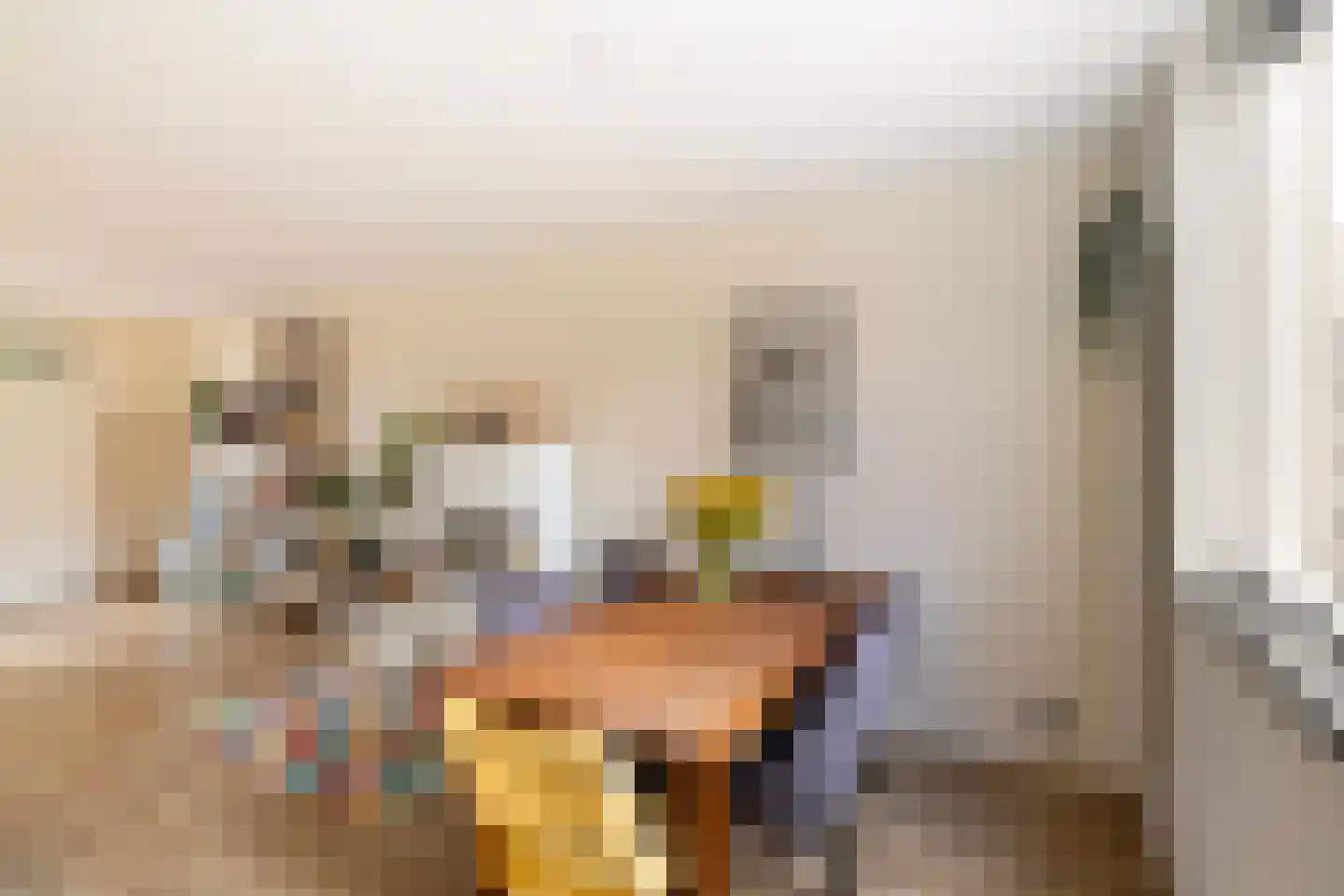 Naoberdreef 53 Assen thumbnail 15