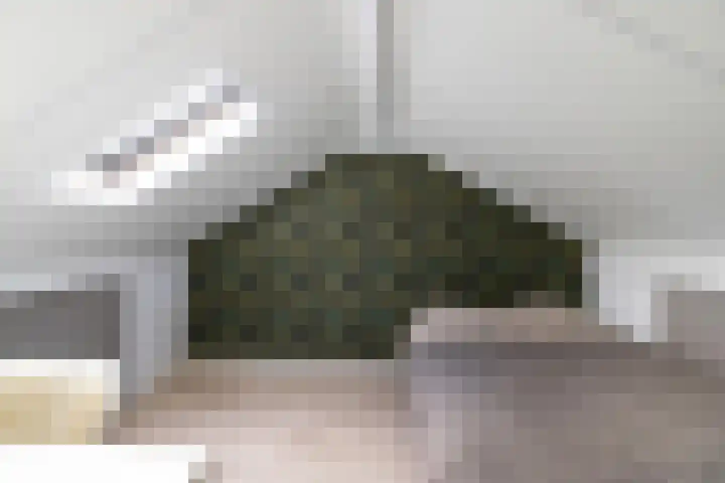 Naoberdreef 53 Assen thumbnail 38