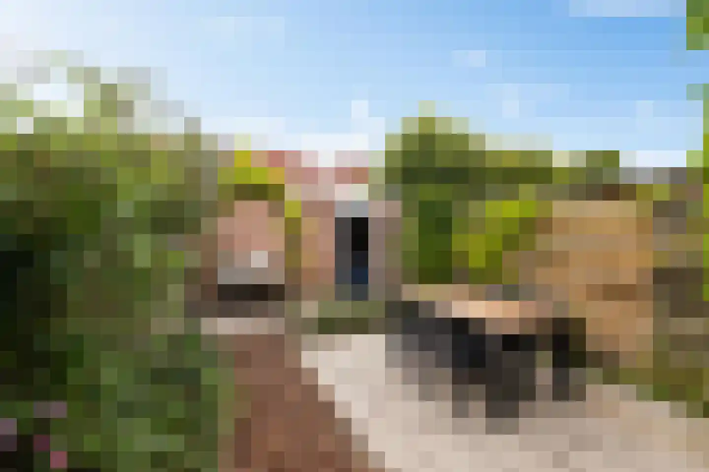 Naoberdreef 53 Assen thumbnail 4