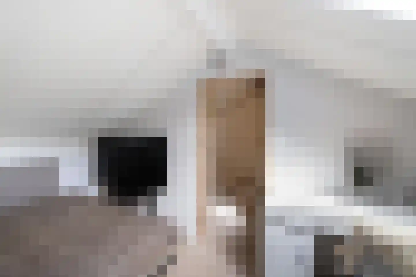 Naoberdreef 53 Assen thumbnail 40