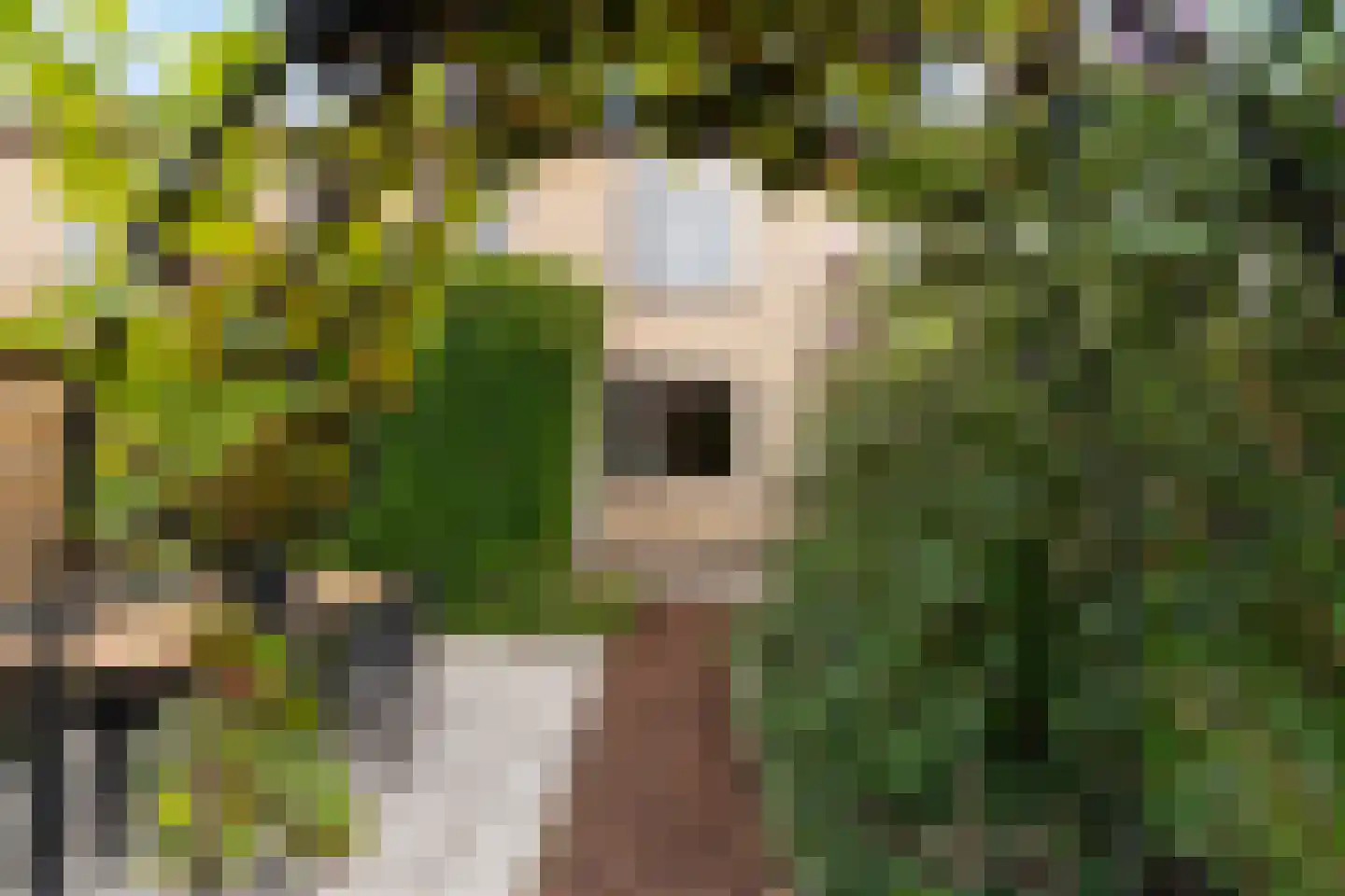Naoberdreef 53 Assen thumbnail 44