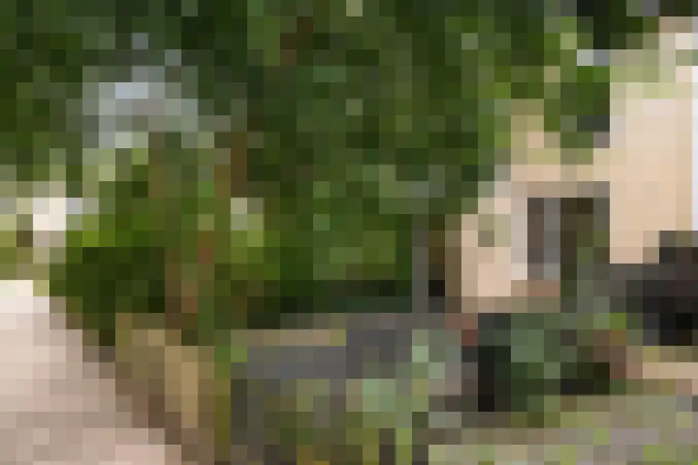 Naoberdreef 53 Assen thumbnail 6