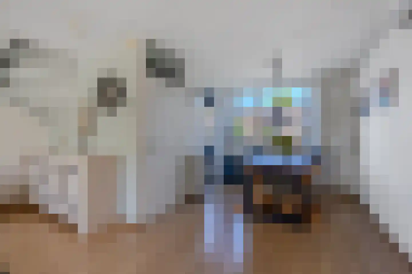 Naoberdreef 79 Assen thumbnail 15
