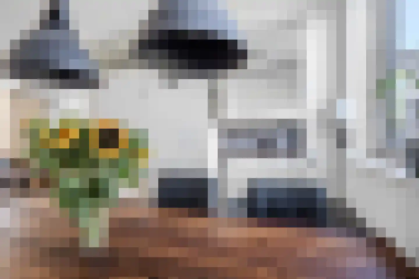 Naoberdreef 79 Assen thumbnail 18