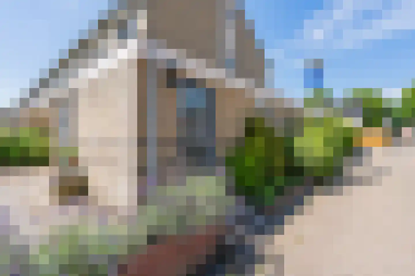 Naoberdreef 79 Assen thumbnail 51