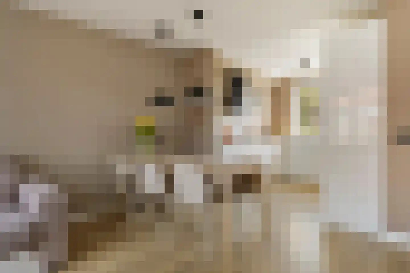 Naoberdreef 85 Assen thumbnail 10