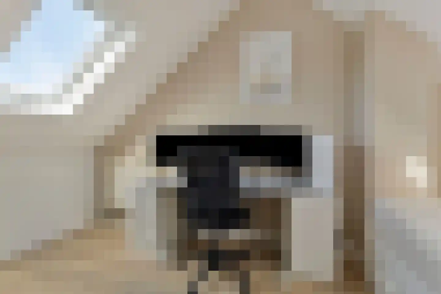 Naoberdreef 85 Assen thumbnail 39