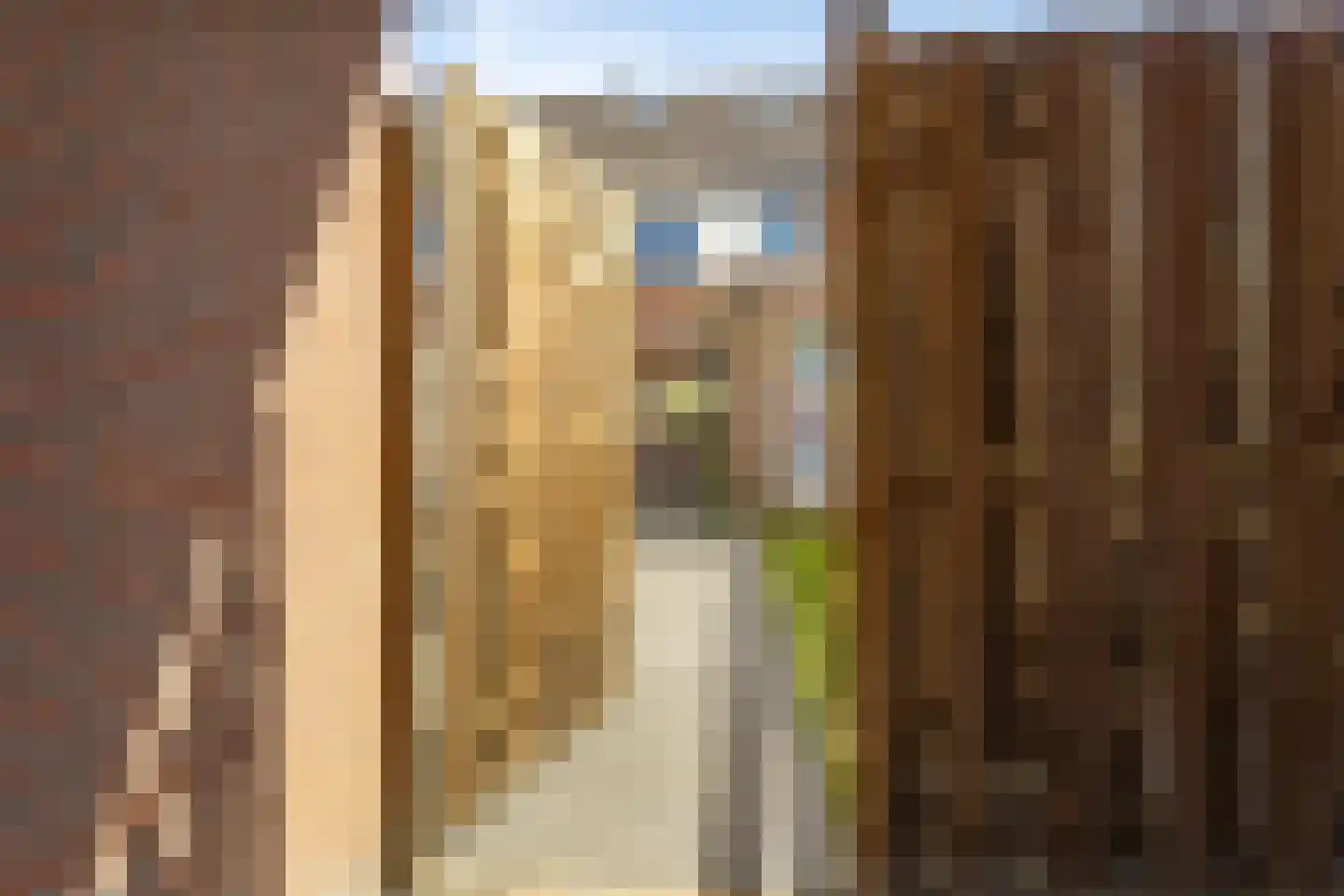 Naoberdreef 85 Assen thumbnail 44