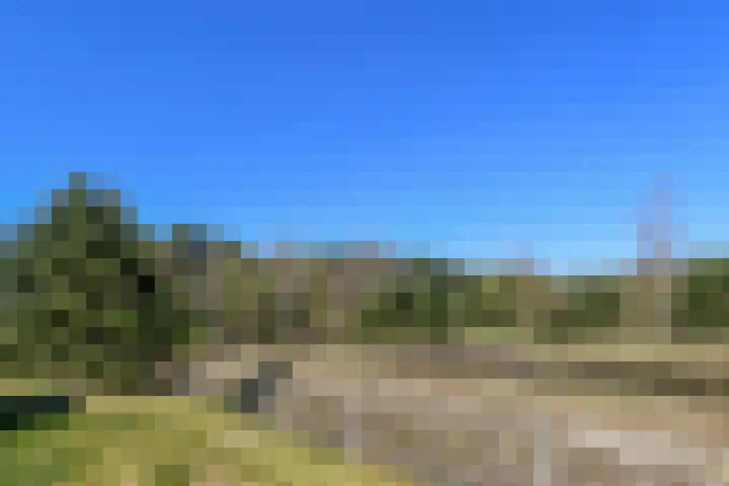 Foto van Naomi van Delft