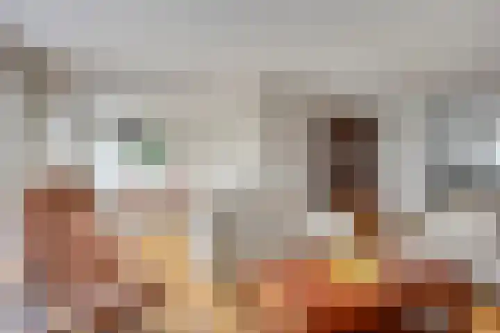 Napelsgeel 119 Zoetermeer thumbnail 10