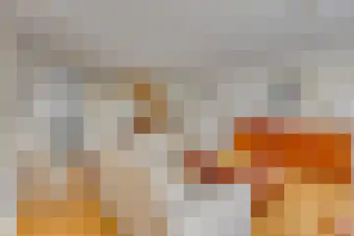 Napelsgeel 119 Zoetermeer thumbnail 13