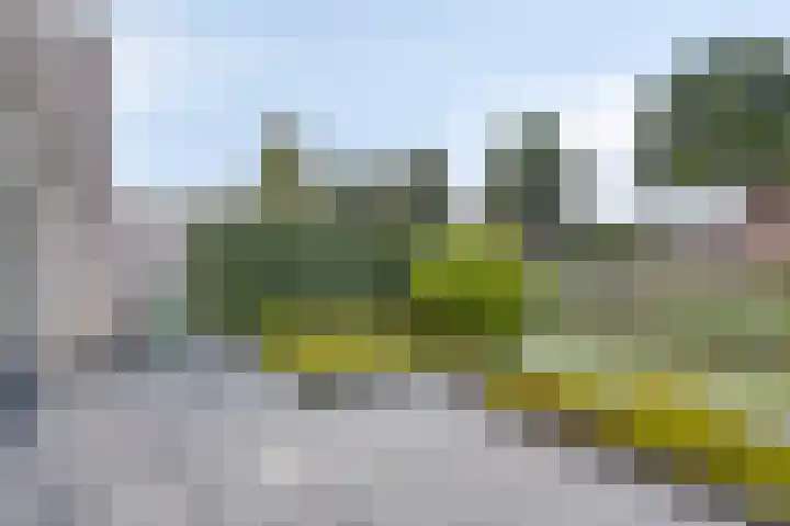 Napelsgeel 119 Zoetermeer thumbnail 17