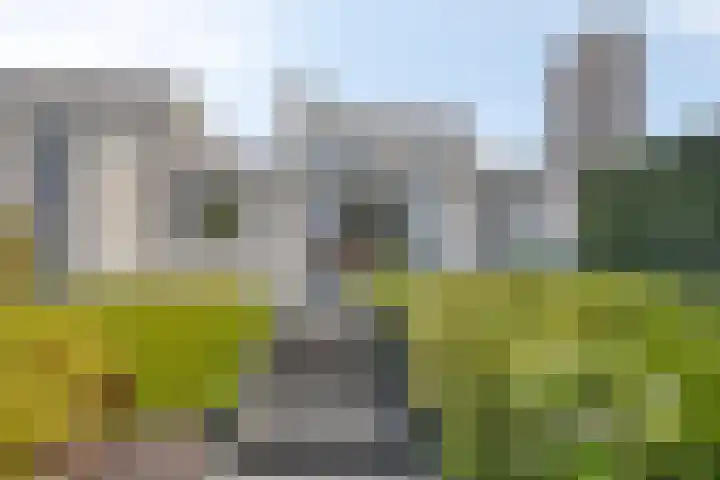 Napelsgeel 119 Zoetermeer thumbnail 18