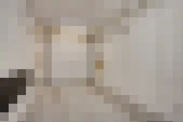 Napelsgeel 119 Zoetermeer thumbnail 32