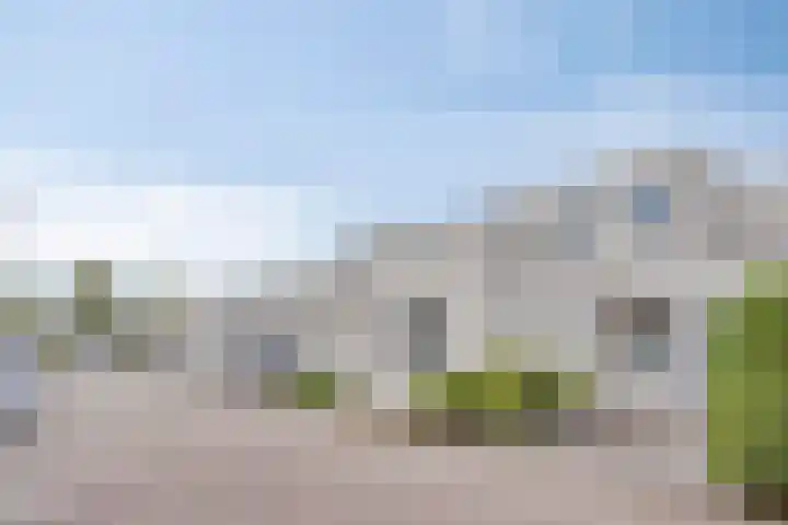 Napelsgeel 119 Zoetermeer thumbnail 34
