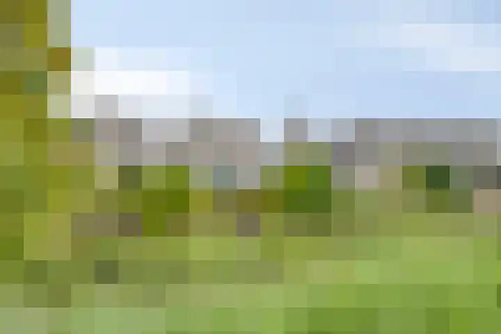 Napelsgeel 119 Zoetermeer thumbnail 35