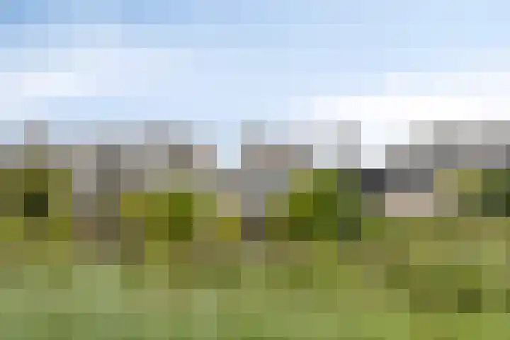 Napelsgeel 119 Zoetermeer thumbnail 40