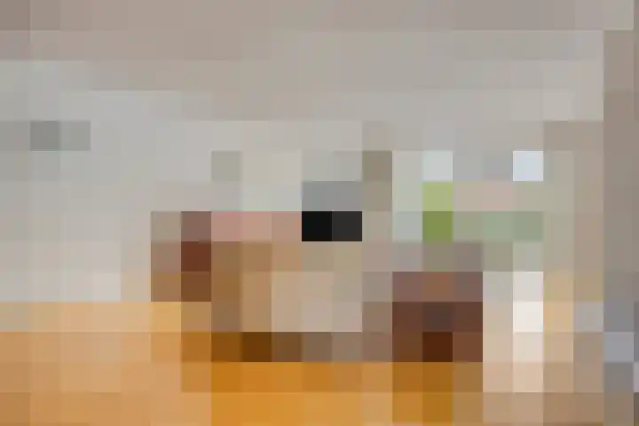 Napelsgeel 119 Zoetermeer thumbnail 8