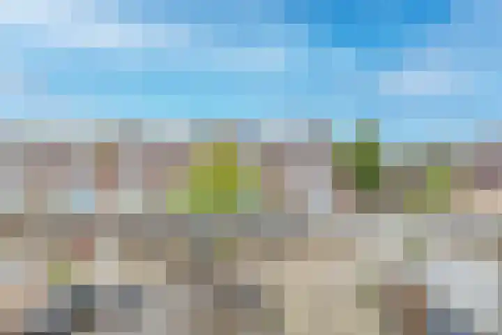 Napelshof 34 Rotterdam thumbnail 12