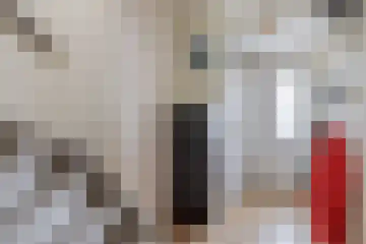Napelshof 34 Rotterdam thumbnail 14