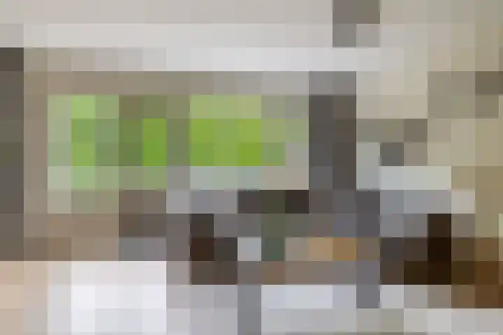 Napelshof 34 Rotterdam thumbnail 18
