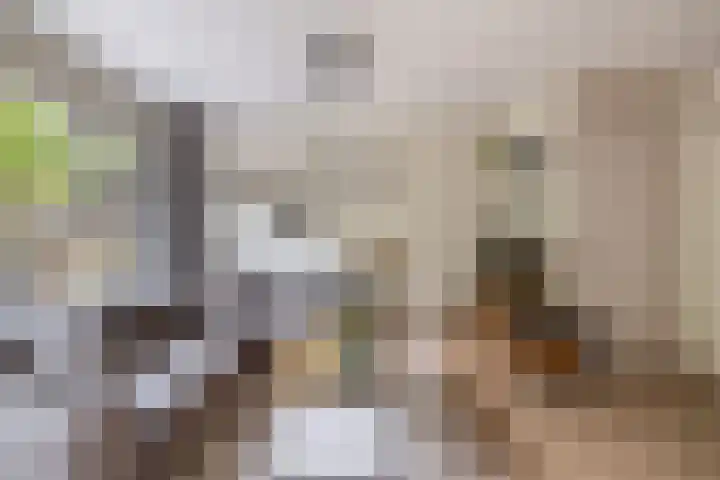 Napelshof 34 Rotterdam thumbnail 19