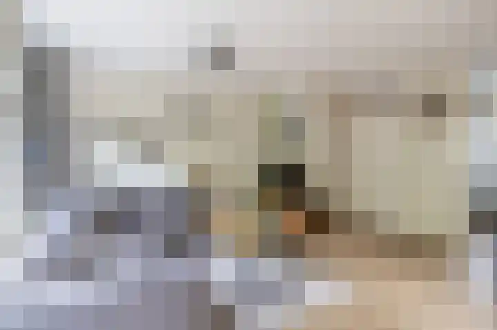 Napelshof 34 Rotterdam thumbnail 20