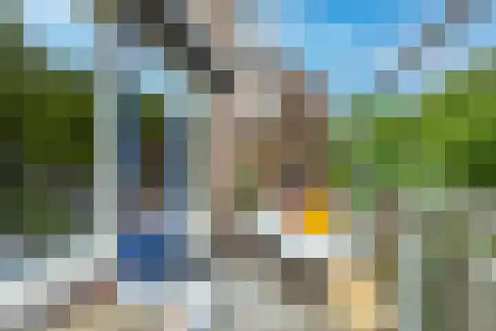 Napelshof 34 Rotterdam thumbnail 23