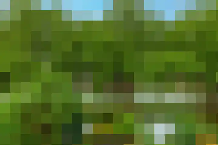 Napelshof 34 Rotterdam thumbnail 24
