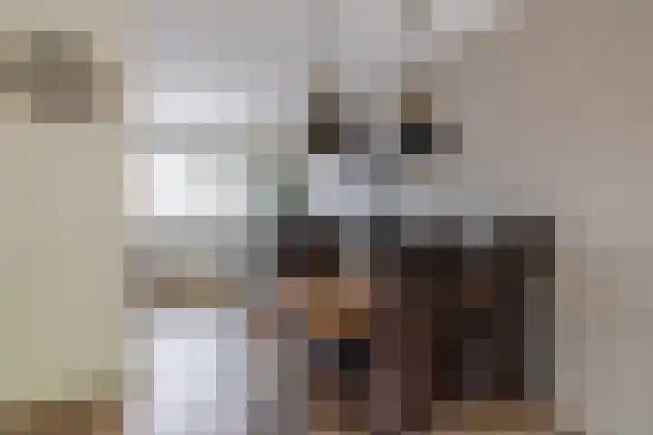 Napelshof 34 Rotterdam thumbnail 25