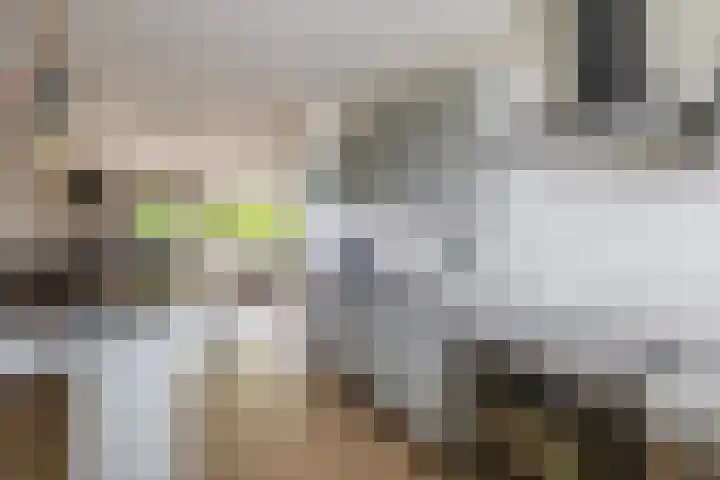 Napelshof 34 Rotterdam thumbnail 28