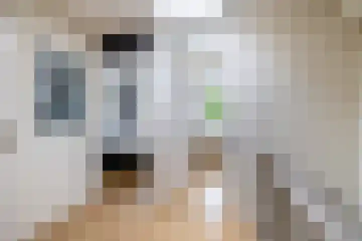 Napelshof 34 Rotterdam thumbnail 29