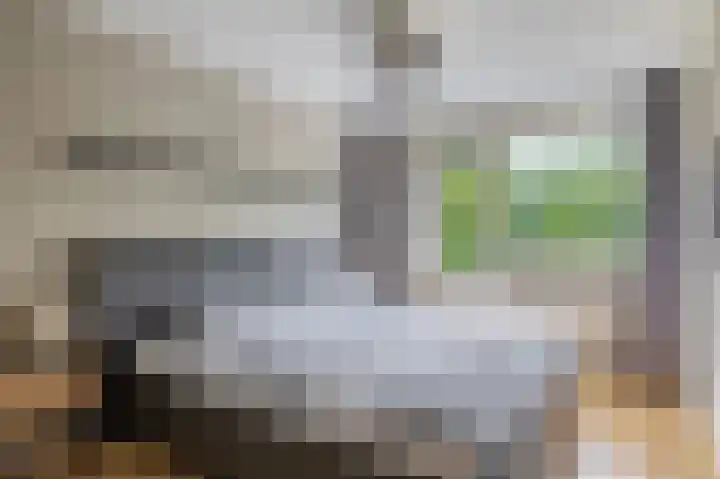 Napelshof 34 Rotterdam thumbnail 30
