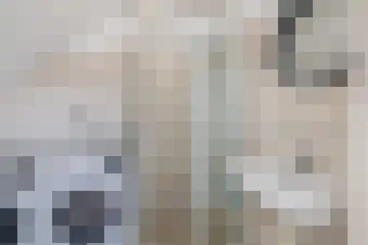 Napelshof 34 Rotterdam thumbnail 32