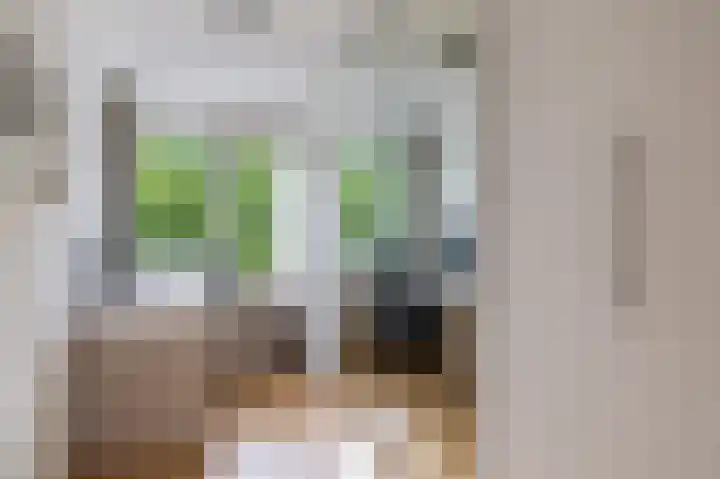 Napelshof 34 Rotterdam thumbnail 35