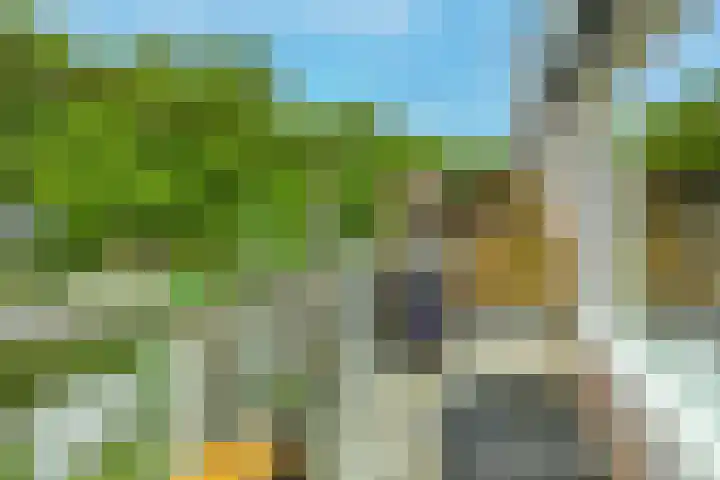 Napelshof 34 Rotterdam thumbnail 4