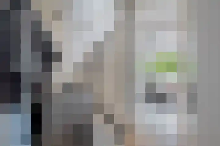 Napelshof 84 Rotterdam thumbnail 10