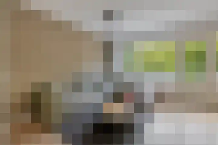 Napelshof 84 Rotterdam thumbnail 12