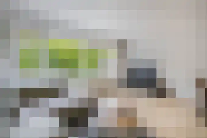 Napelshof 84 Rotterdam thumbnail 13