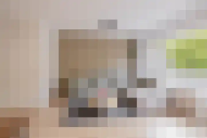 Napelshof 84 Rotterdam thumbnail 14