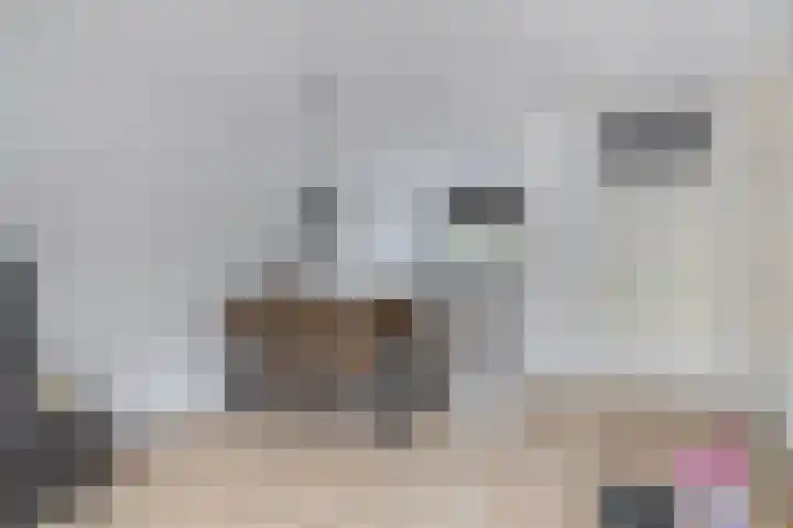 Napelshof 84 Rotterdam thumbnail 16