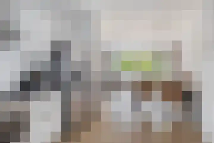 Napelshof 84 Rotterdam thumbnail 19