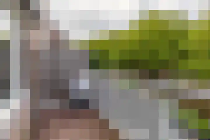 Napelshof 84 Rotterdam thumbnail 23